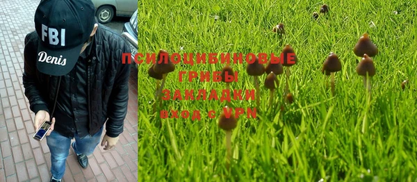 ALPHA PVP Беломорск