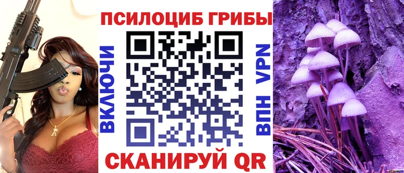 Купить где  Козьмодемьянск  Галлюциногенные грибы Cubensis 